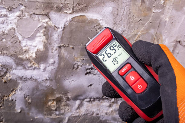Best Mold Testing  in Augusta, AR
