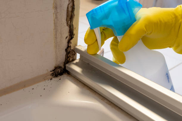 Crawl Space Mold Removal in Augusta, AR