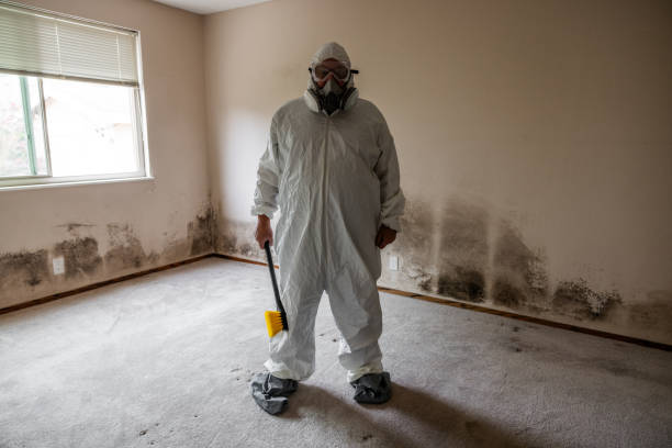 Best Affordable Mold Removal  in Augusta, AR